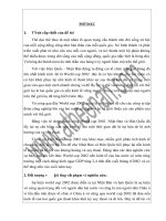 tiểu luậnĐất nước và con người Nhật Bản và Hàn Quốc