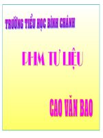 Khoa học-Lớp 5-Đàn trâu và sư tử