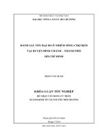 Đánh Giá Tổn Hại Do Ô Nhiễm Sông Chợ Đệm Tại Huyện Bình Chánh Thành Phố Hồ Chí Minh