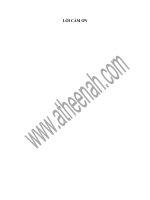 Vai trò của tổ chức đoàn thanh niên huyện Bình Liêu - Quảng Ninh với công tác phát triển văn hoá trong thanh niên