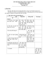 Đề thi học kì I Mi thuật có ma trận (NH 2010 - 2011)