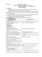 Giáo án lớp 3 tuần 23 hai buổi/ ngày