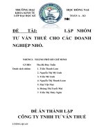 tiểu luận đề tài lập nhóm tư vấn thuế cho các doanh nghiệp nhỏ