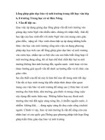 Lồng ghép giáo dục bảo vệ môi trường trong tiết học văn lớp 6 8 trường Trung học cơ sở Bàu Năng