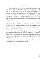 Tiểu luận: Tăng trưởng kinh tế và bất bình đẳng ở Việt Nam