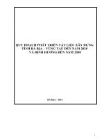 QUY HOẠCH PHÁT TRIỂN VẬT LIỆU XÂY DỰNG  TỈNH BÀ RỊA – VŨNG TÀU ĐẾN NĂM 2020  VÀ ĐỊNH HƯỚNG ĐẾN NĂM 2030