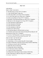 Biện pháp hoàn thiện công tác chăm sóc khách hàng tại công ty DVVT vinaphone