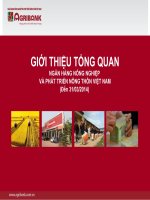 GIỚI THIỆU TỔNG QUAN về ngân hàng nông nghiệp và phát triển nông thôn