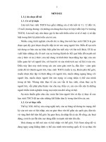 tiểu luận vấn đề mà chủ nghĩa hành vi cổ điển bỏ qua, tức là nghiên cứu xem có cái gì xảy ra giữa S và R