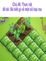 Một số loài rau