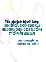 NGHIÊN CỨU CHIẾN LƯỢC CỦA GIAI ĐOẠN 2015 - 2020 TẠI CÔNG TY CỔ PHẦN VINACAFE