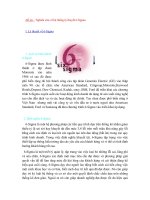 Đề tài  nghiên cứu về hệ thống lý thuyết 6 sigma