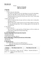 giao an lop 3 tuan 23 ( KNS + CKTKN )