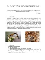 ĐA DẠNG về SINH sản ở côn TRÙNG
