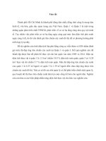 ABSTRACT - Đánh giá mức độ đáp ứng tiêu chuẩn cây xanh đô thị tại Quận 1 & Quận 3 Tp. Hồ Chí Minh