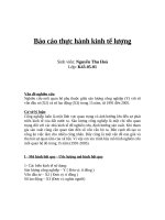 Báo cáo thực hành kinh tế lượng   23