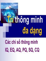 Các chỉ số thông minh hiện đại