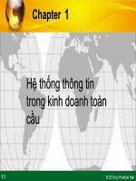 Hệ thống thông tin trong kinh doanh toàn cầu