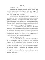 tiểu luận Vị trí chiến lược của vùng ngã ba sông Bạch Hạc thời nhà Trần (thế kỷ XIII- XIV)