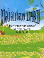 LĨNH VỰC PHÁT TRIỂN NGÔN NGỮ