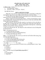 Đề KT Giữa HKII môn Tiếng Việt - Lớp 4