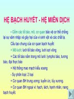 HỆ BẠCH HUYẾT   hệ MIỄN DỊCH  ha