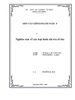 Tiểu luận môn tài chính doanh nghiệp Nghiên cứu về các loại hình chi trả cổ tức