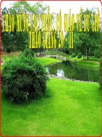 bài 14 thực hiện trật tự an toàn giao thông