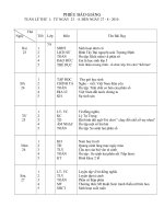 BÁO GIẢNG LỚP 5