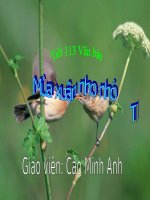 Tiết 113 Văn bản Mùa xuân nho nhỏ