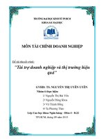 Tiểu luận môn tài chính doanh nghiệp tài trợ doanh nghiệp và thị trường hiệu quả