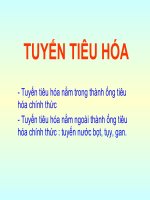 TUYẾN TIÊU hóa  Bộ môn  mô phôi đại học y huế