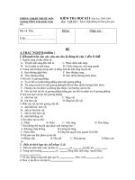 ĐỀ THI-ĐÁP ÁN VẬT LÍ 7 KÌ I