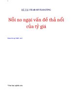 Tiểu luận môn tài chính quốc tế Nỗi no ngại vấn đề thả nổi của tỷ giá
