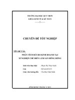 Luận văn tốt nghiệp phân tích rủi ro kinh doanh tại Công ty TNHH Trường Nam