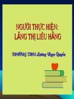 Thuyết minh về một danh lam thắng cảnhnh