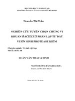 Nghiên cứu phân lập và tuyển chọn các chủng Bacillus sinh enzim protease từ đất vườn