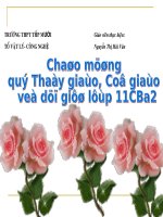 bài 14 Dòng điện trong chất điện phân