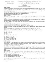 đề thi hsg hóa 9 có đáp án