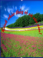 bao ve di san van hoa-hay cuc