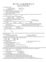 Tài liệu ôn tập Sinh 12CB