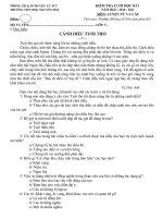 Đề thi môn Tiếng Việt và môn Toán