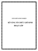 SKKN Kĩ năng tổ chức giờ sinh hoạt lớp