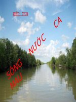 song nước Cà mau