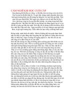 Cảm nghĩ khi học cuối cấp