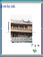 bai 14. Bao ve MT va TNTN