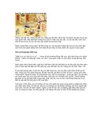 Ngày Tết nói chuyện Tôn sư trọng đạo