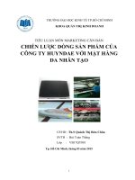 Tiểu luận marketing CHIẾN LƯỢC DÒNG SẢN PHẨM CỦA CÔNG TY HUYNDAE VỚI MẶT HÀNG DA NHÂN TẠO