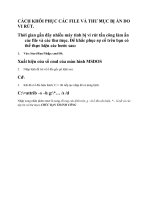 Cách khôi phục các file bị ẩn do vỉ rut