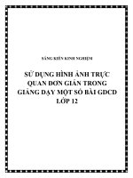 SKKN Sử dụng hình ảnh trực quan đơn giản trong giảng dạy một số bài GDCD lớp 12